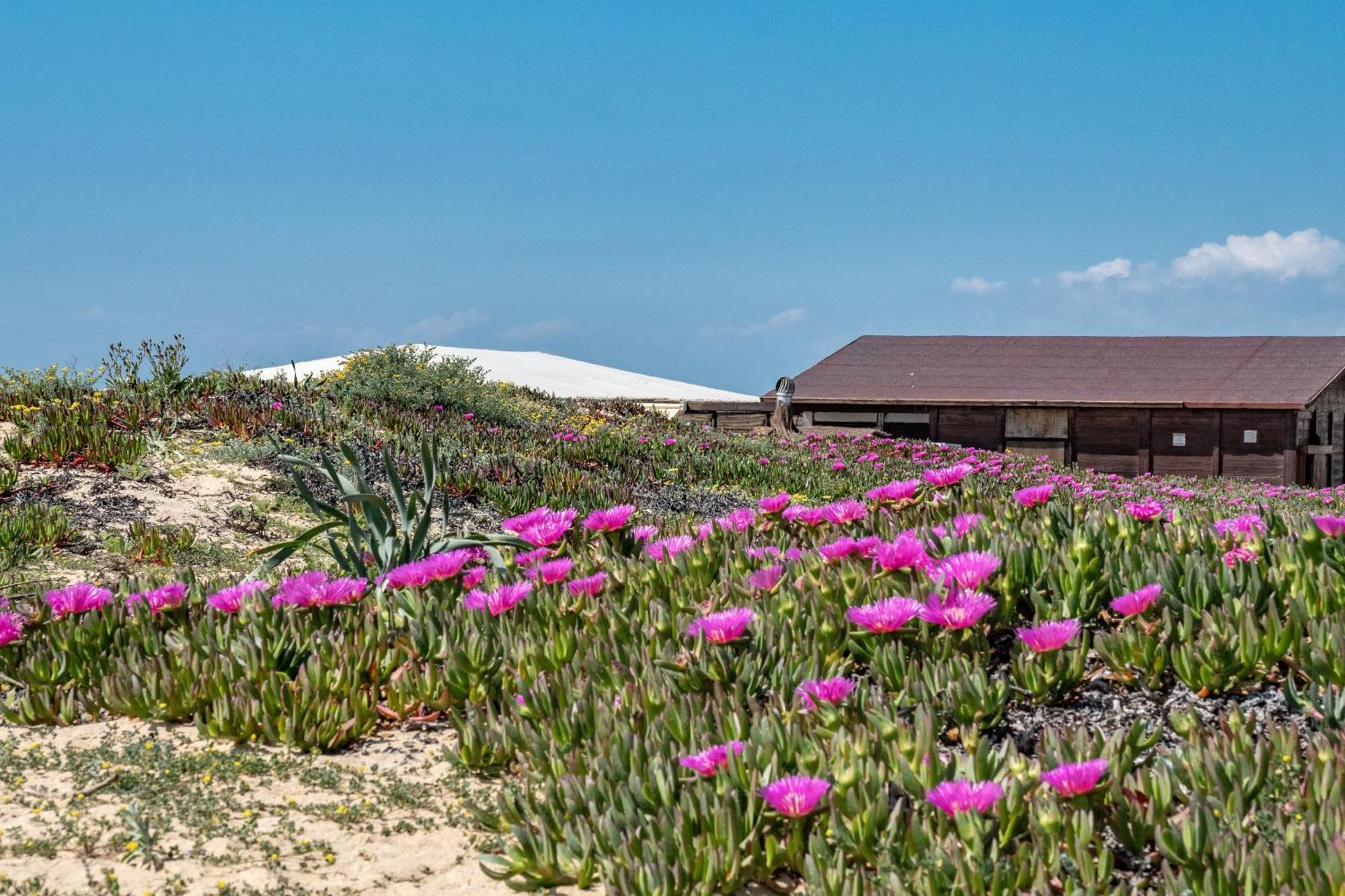 Precioso Chalet A Pie De Playa Пунта-Умбрія Екстер'єр фото